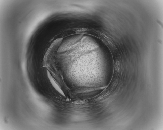 X0000096450763200802071811