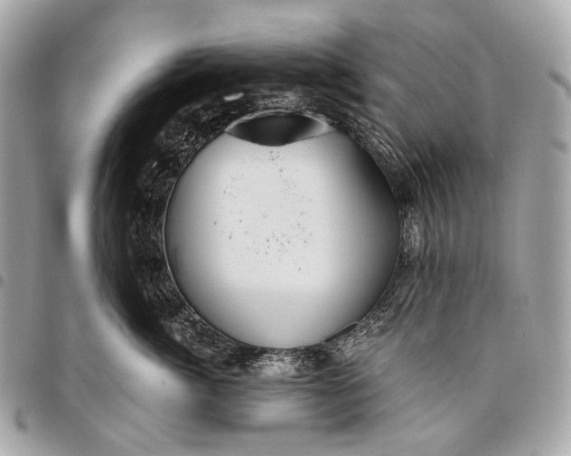 X0000096450764200802071811