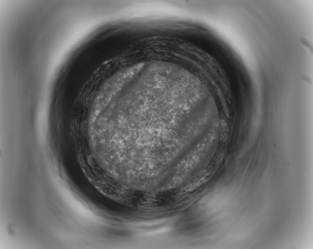 X0000096450765200802071811