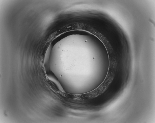 X0000096450766200802071811