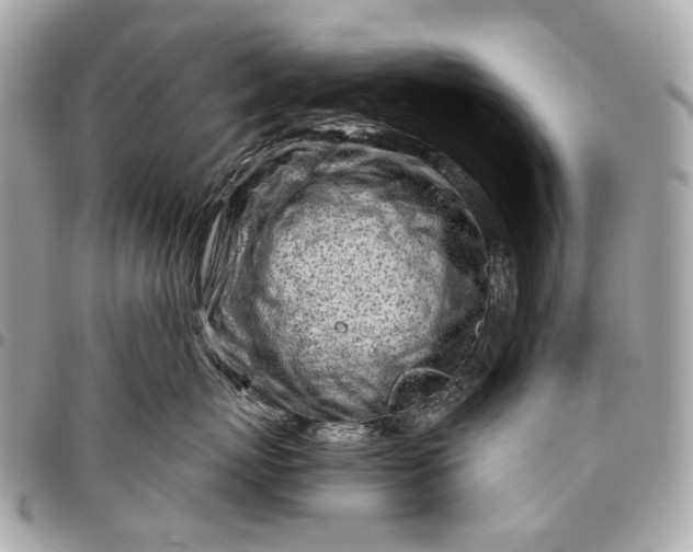 X0000096450767200802071811