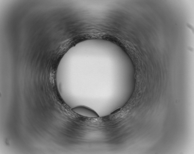 X0000096450768200802071811