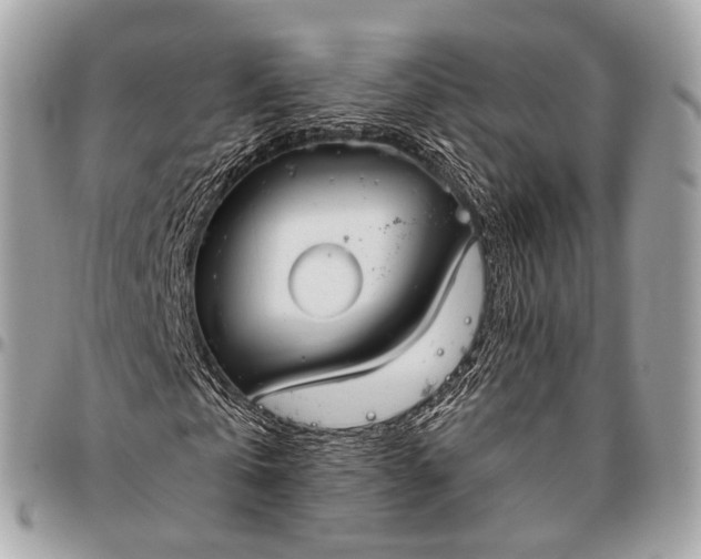 X0000096450769200802071810