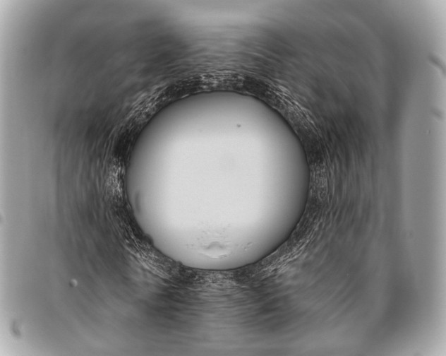 X0000096450770200802071810