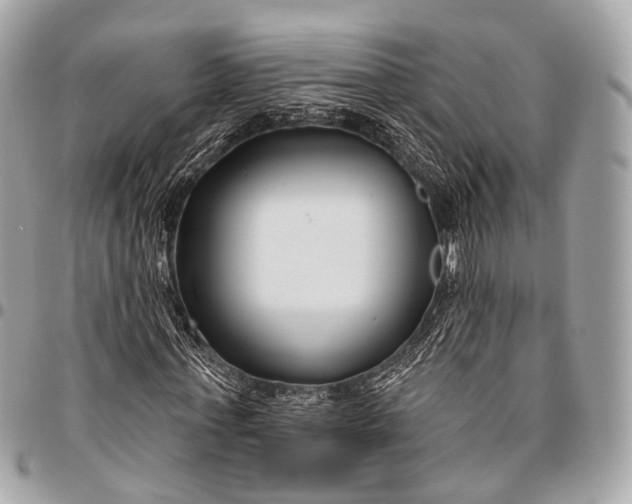 X0000096450771200802071810