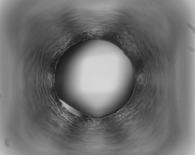 X0000096450772200802071810