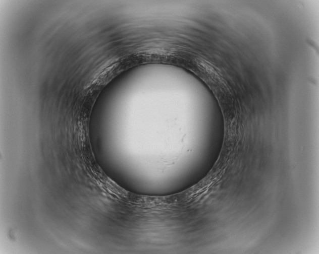 X0000096450774200802071810