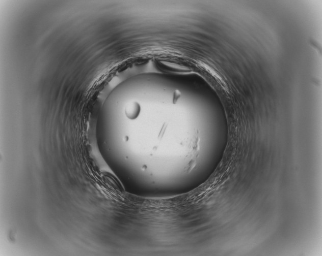 X0000096450775200802071810