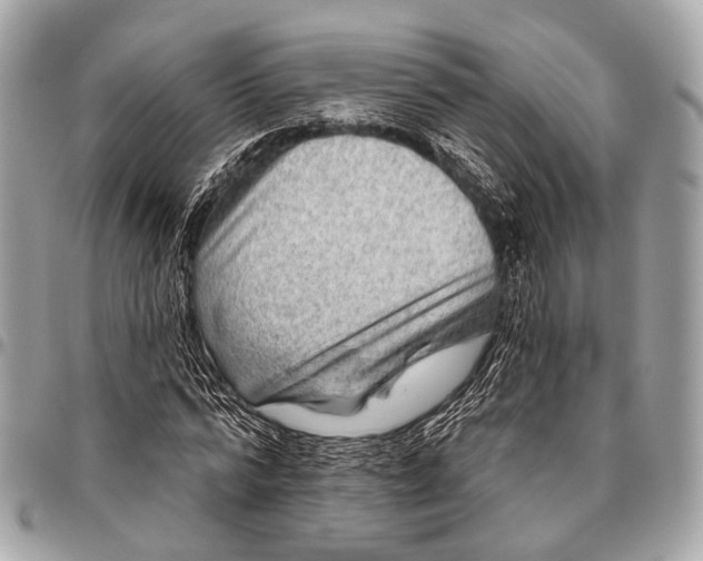 X0000096450776200802071810