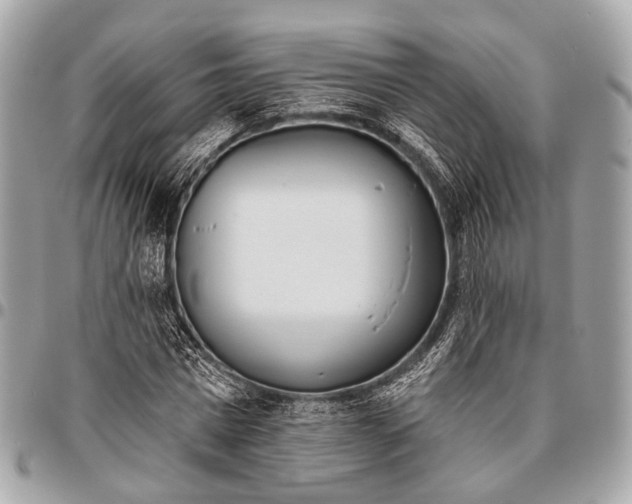 X0000096450777200802071810