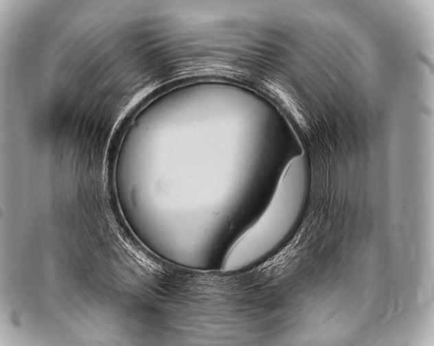 X0000096450780200802071810