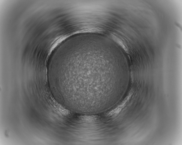 X0000096450781200802071810