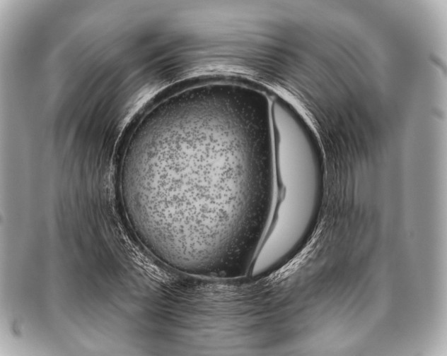 X0000096450783200802071810