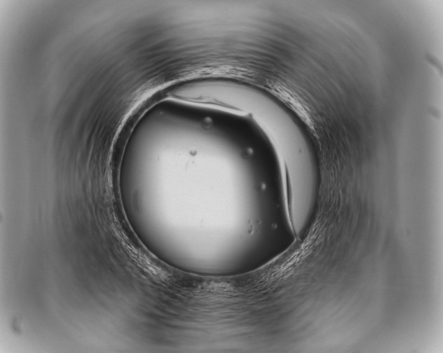 X0000096450784200802071810