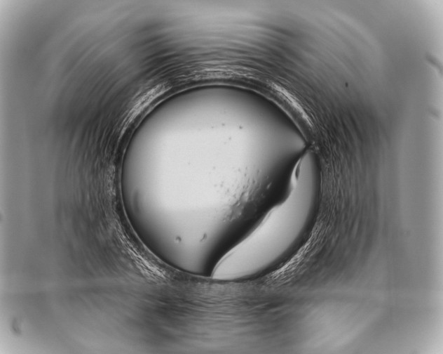 X0000096450786200802071810