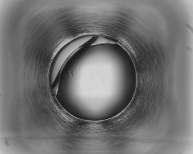 X0000096450789200802071810