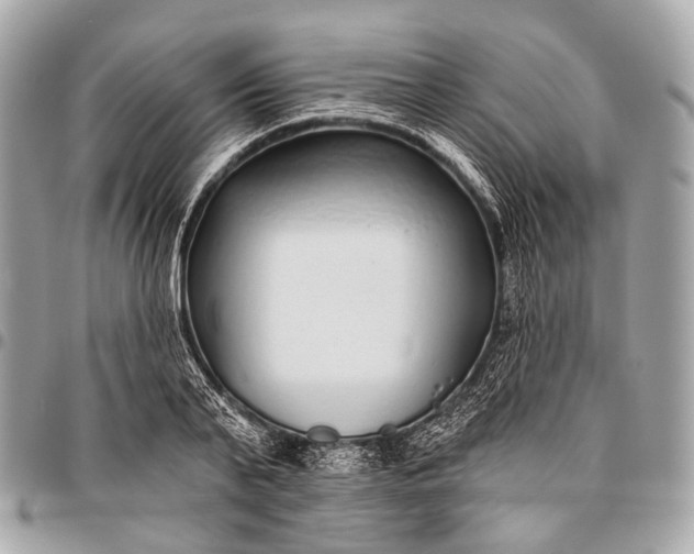 X0000096450791200802071810