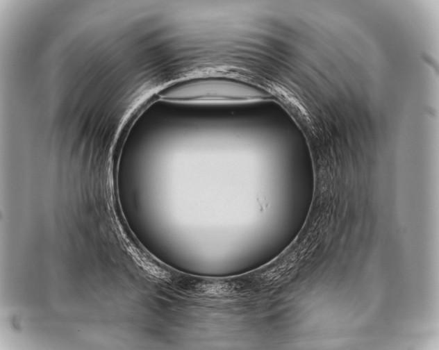 X0000096450792200802071810