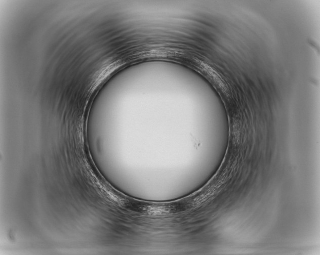 X0000096450794200802071810