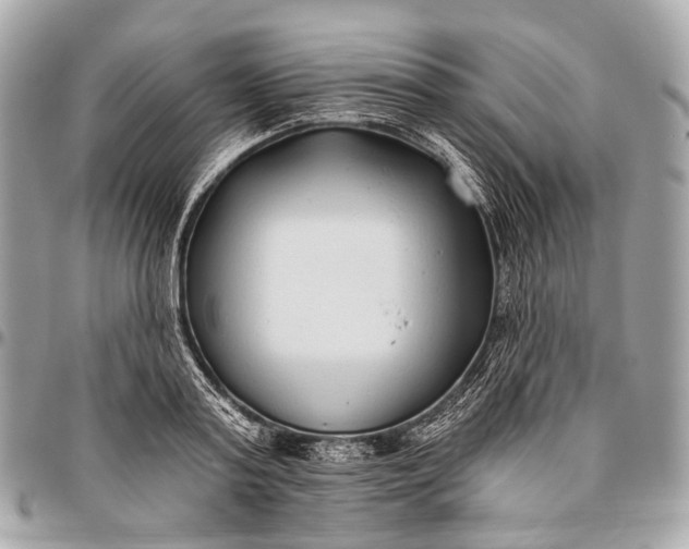 X0000096450795200802071810