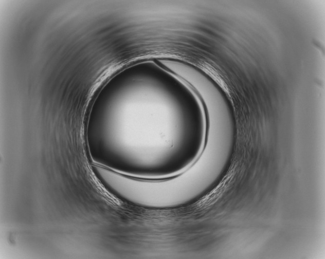 X0000096450797200802071810