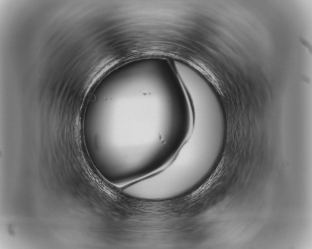 X0000096450798200802071810