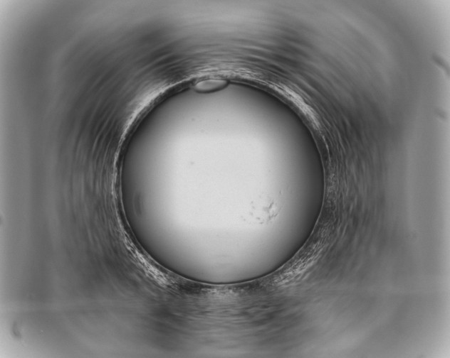 X0000096450799200802071810