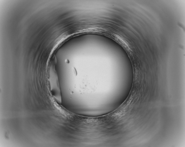 X0000096450800200802071810