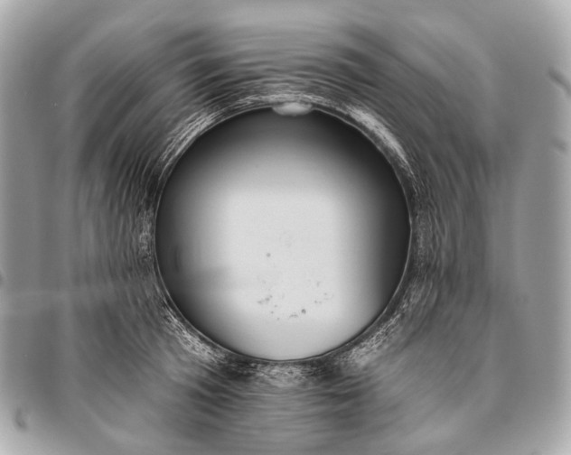 X0000096450801200802071810