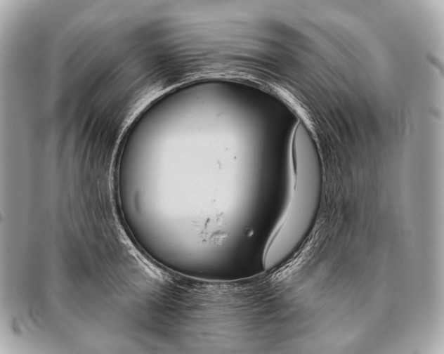 X0000096450803200802071810