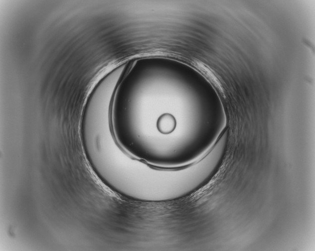 X0000096450805200802071810