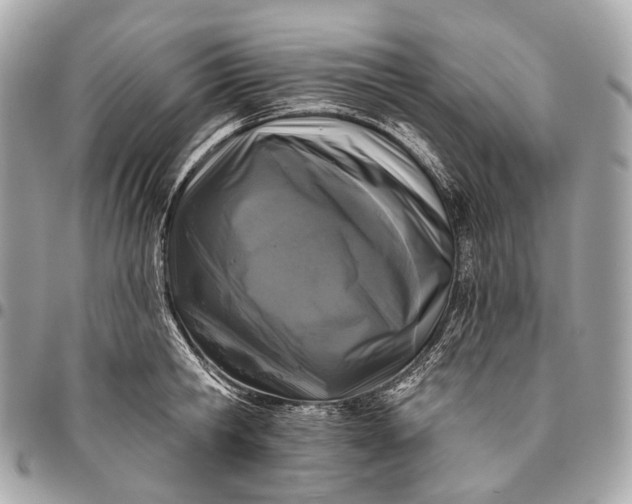 X0000096450806200802071810