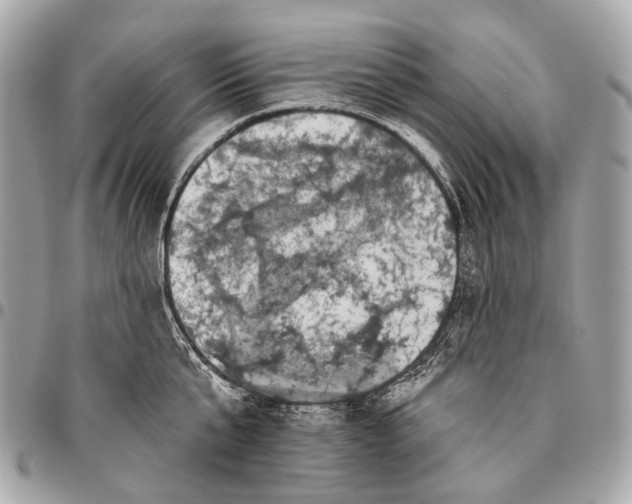 X0000096450807200802071810