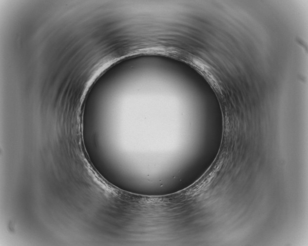 X0000096450808200802071810