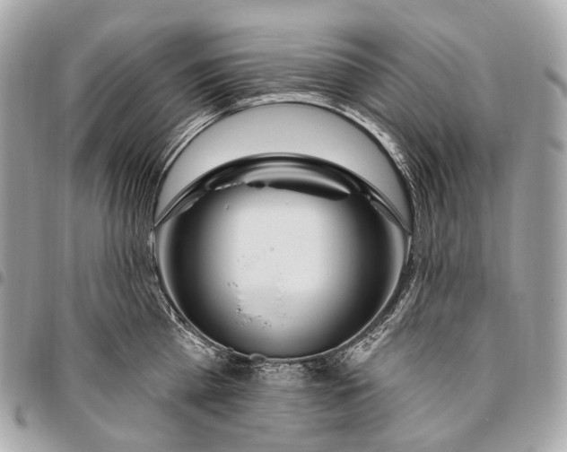 X0000096450809200802071810