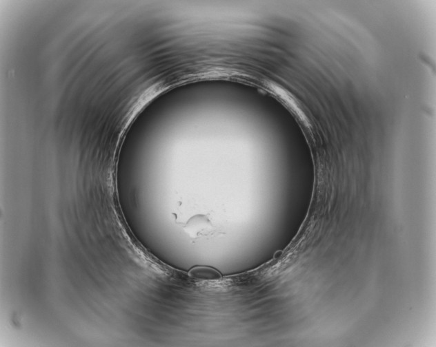 X0000096450810200802071810