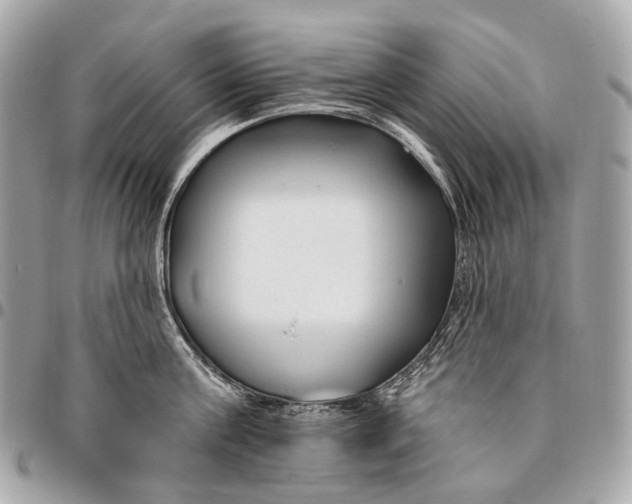 X0000096450811200802071810