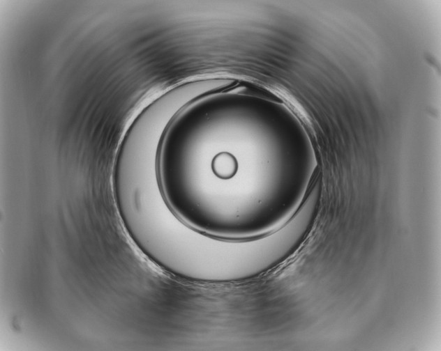 X0000096450813200802071810