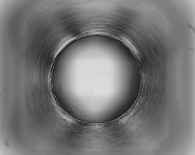 X0000096450814200802071810