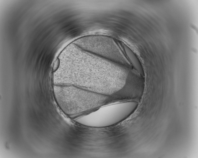 X0000096450816200802071810