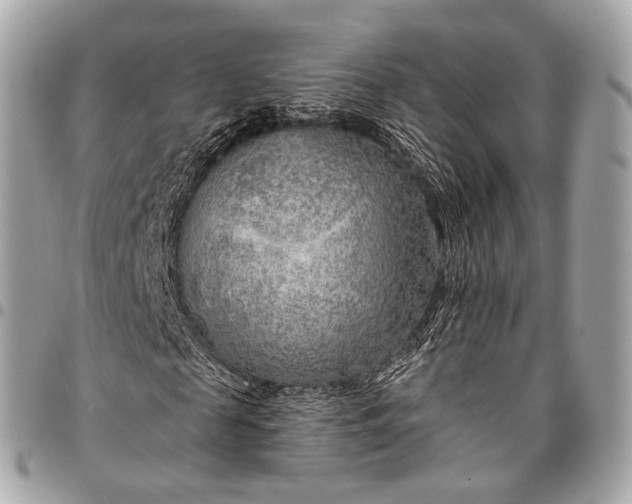 X0000096450817200802071809