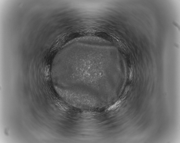 X0000096450818200802071809