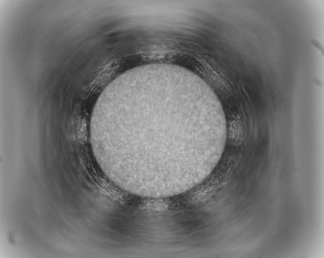 X0000096450820200802071809