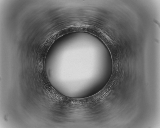 X0000096450821200802071809