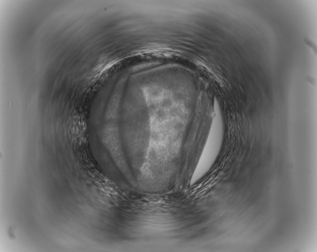 X0000096450822200802071809