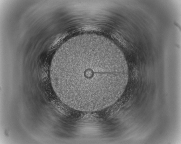 X0000096450824200802071809