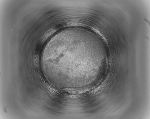 X0000096450825200802071809