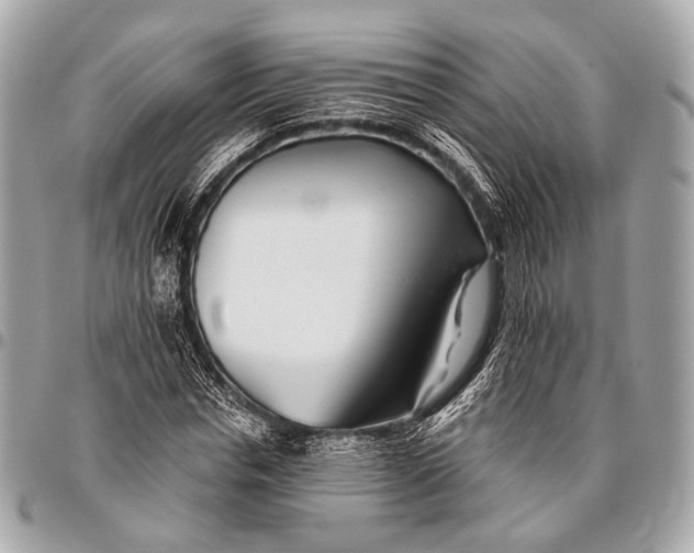 X0000096450826200802071809