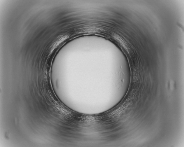 X0000096450827200802071809