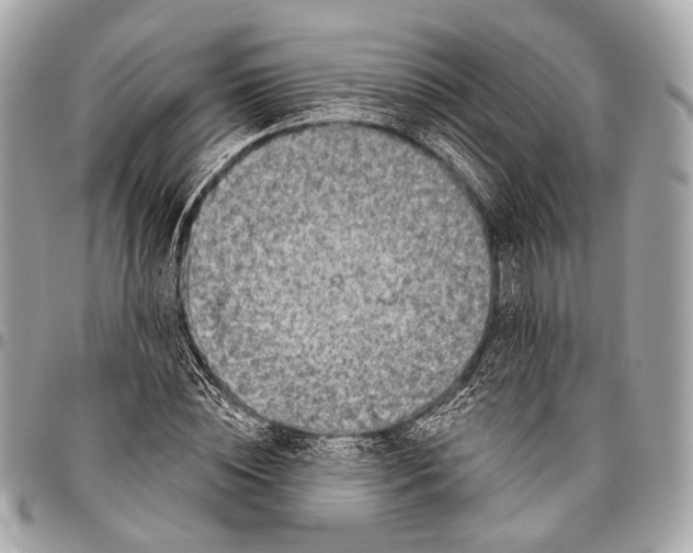 X0000096450828200802071809